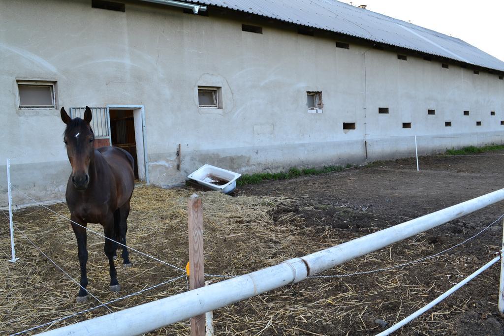 Hotel Penzion Eqilon Mělník Zewnętrze zdjęcie